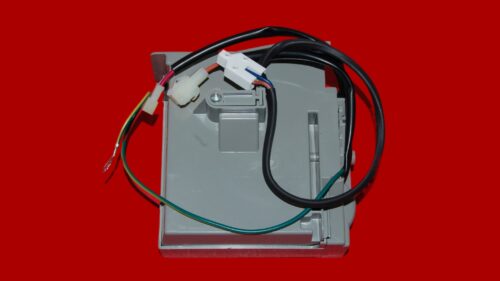 DSC_0019-fotor-202512059427