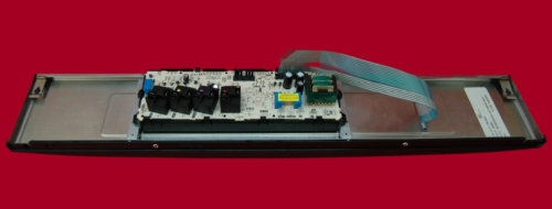 S41552-fotor-bg-remover-20241121145532